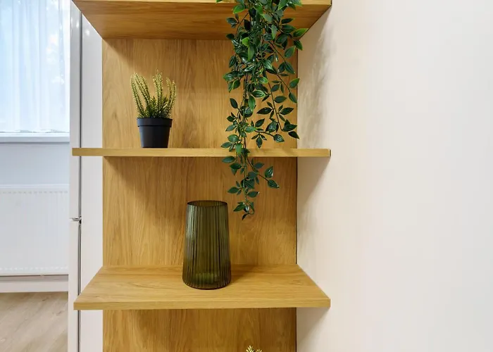 My Place Gorunului Apartament